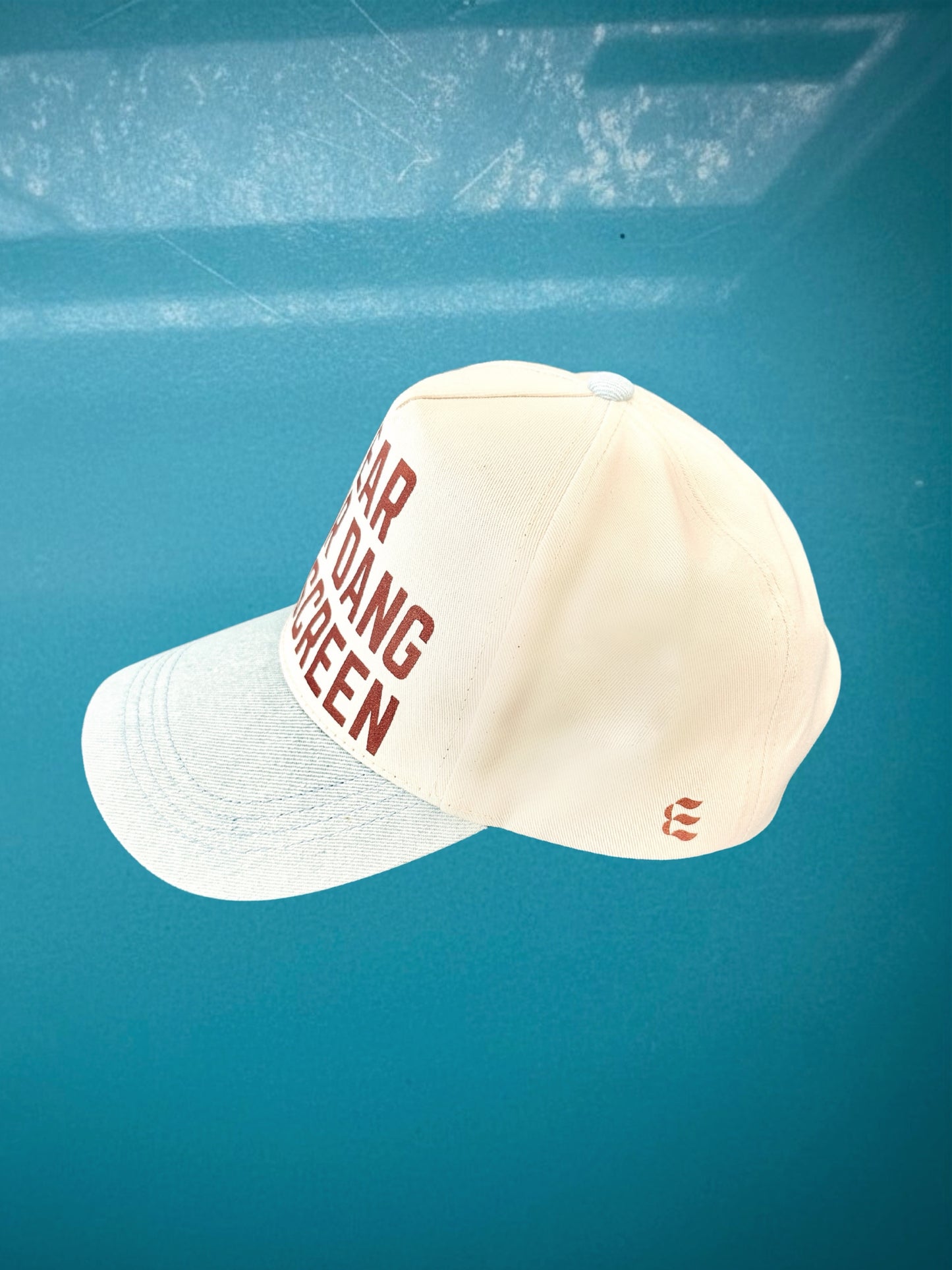 WEAR YOUR DANG SUNSCREEN HAT - Baseball style hat
